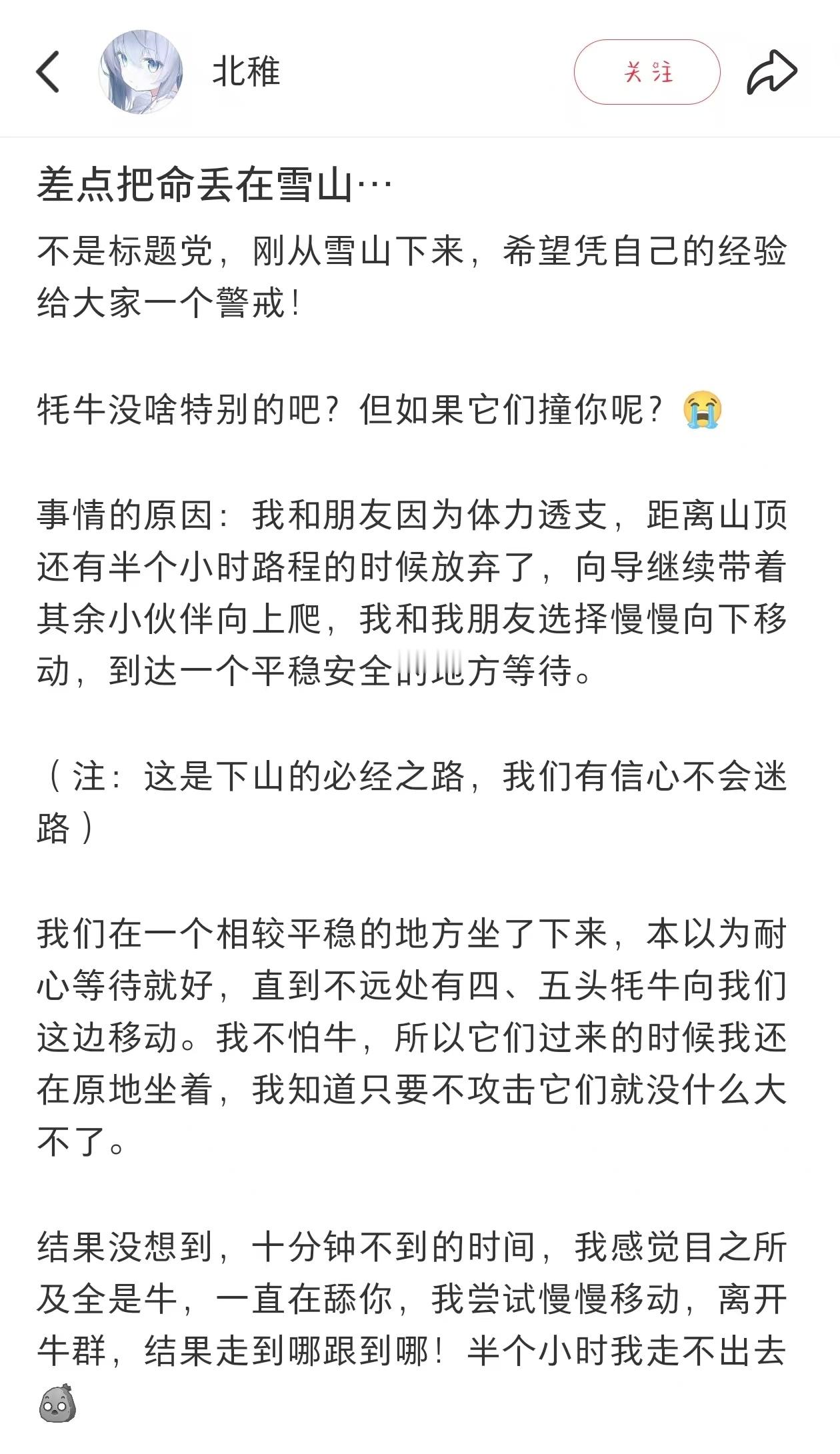 被牦牛跟随的盐砖人类哈哈哈哈哈哈哈 