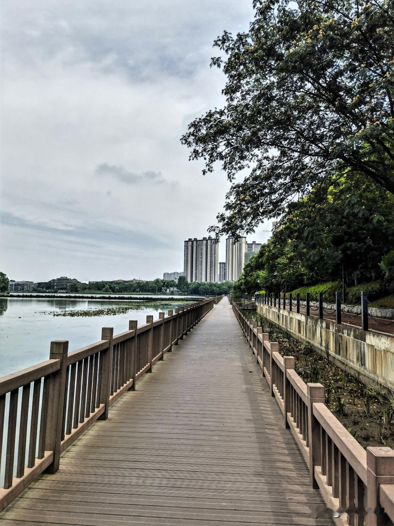 在遗爱湖公园散步，享受遗爱湖公园美丽的风景

出苏东坡纪念馆，马路对面就是黄冈科