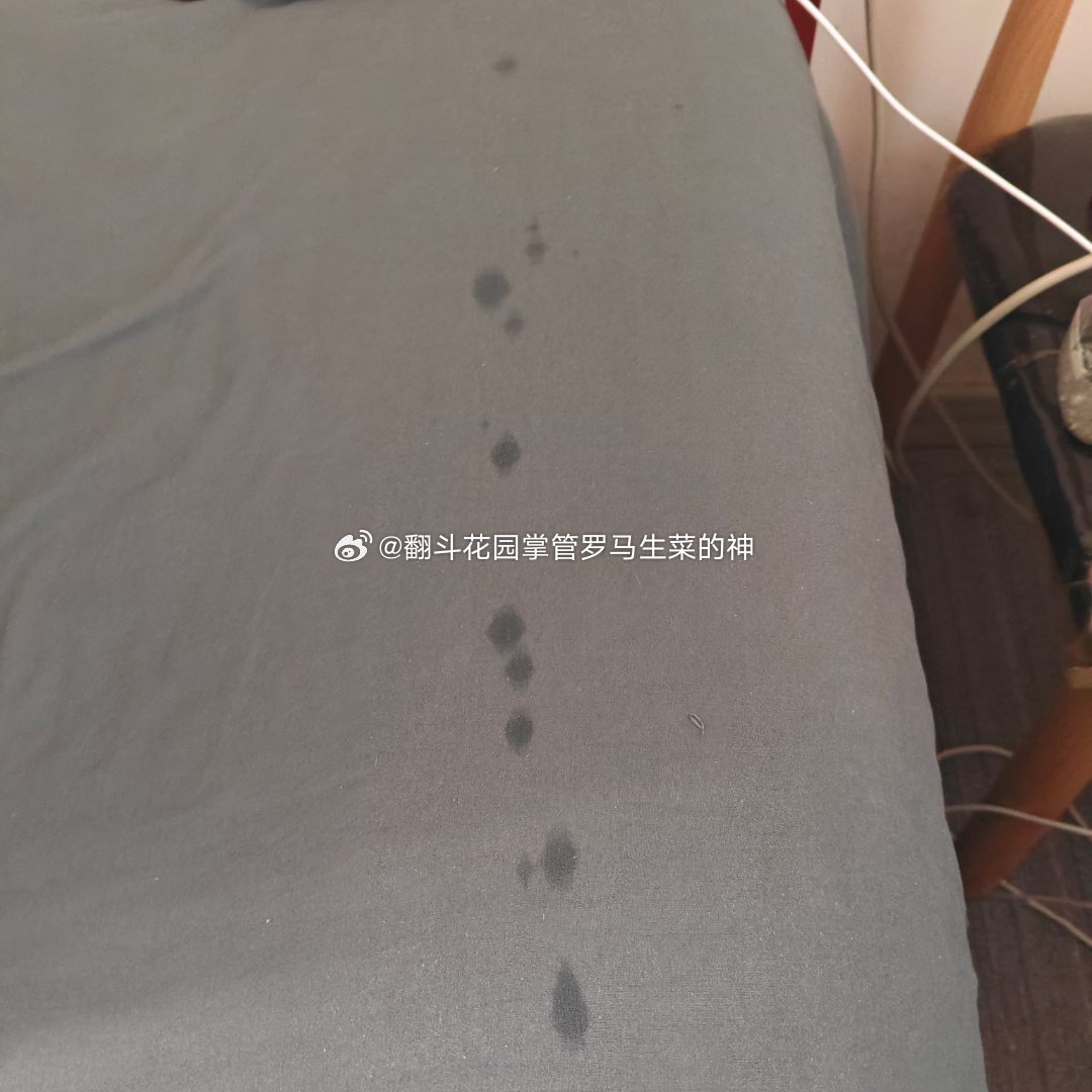 吃个李子，嘣一床。昨天刚换的新床单。