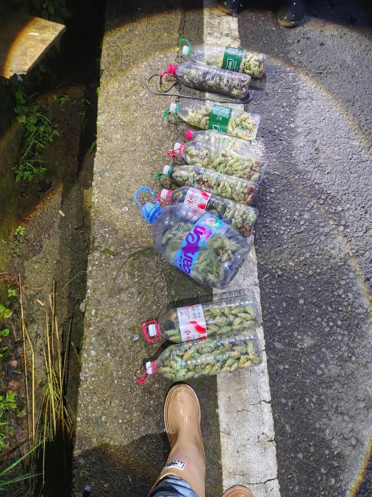 吃不完 吃不完 根本吃不完 