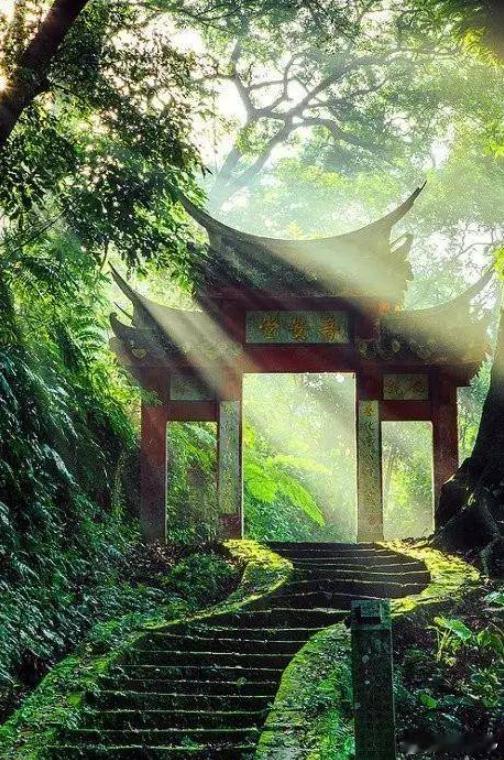 知音过客赋·默斋主人原创骈赋夫天地逆旅，光阴过客。萍水偶逢，本无定迹；云泥悬隔，