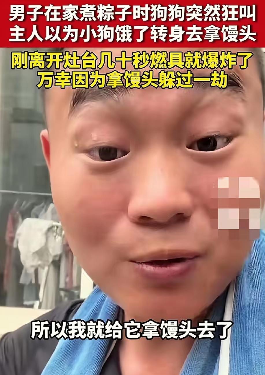 山东男子煮粽子，家里土黄狗拼命吠叫，几十秒后灶台炸了，救命忠犬！
 
6月19号