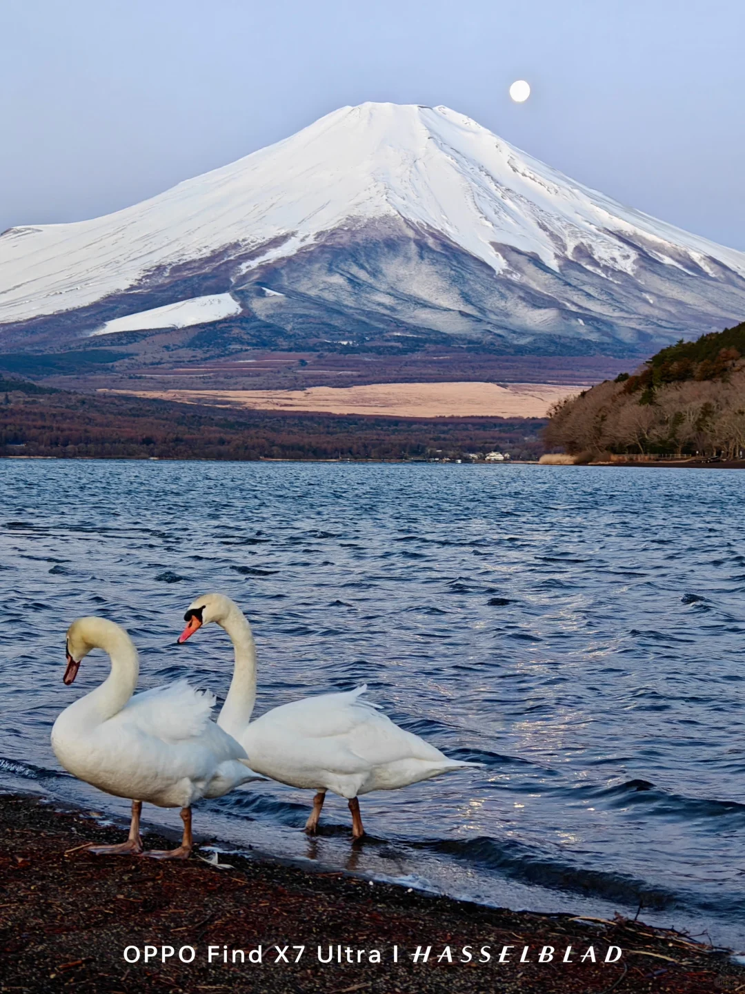 OPPO和苹果拍的日本🇯🇵谁更有氛围感？