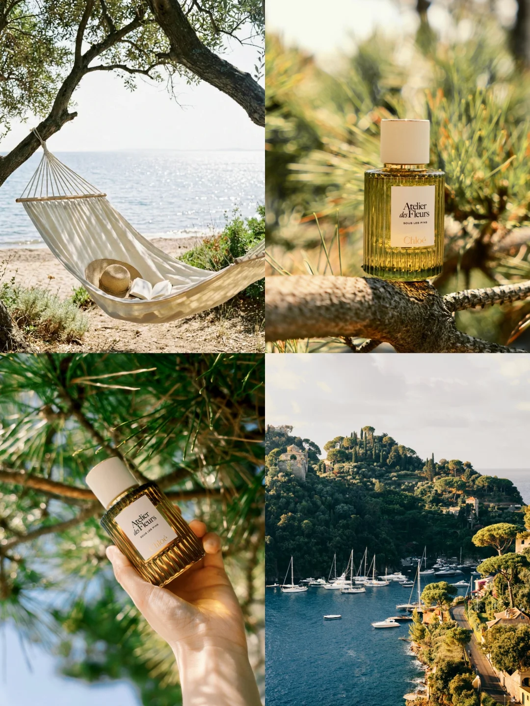 海岸、树影与松林的气息