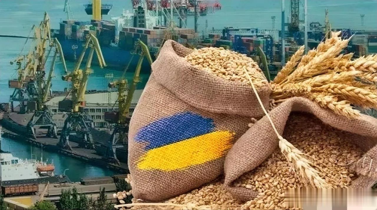 【乌克兰海军宣布，为进出乌克兰港口的商船建立新的临时走廊】

乌克兰海军发言人查