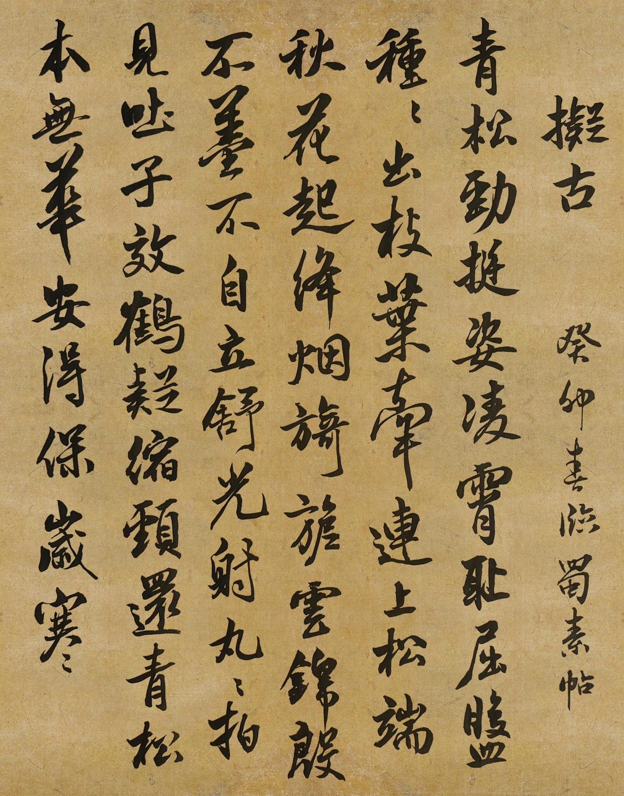 第一次临米芾，留个纪念吧！#自然书写 #汉字之美 #米芾蜀素帖 #图文伙伴计划 