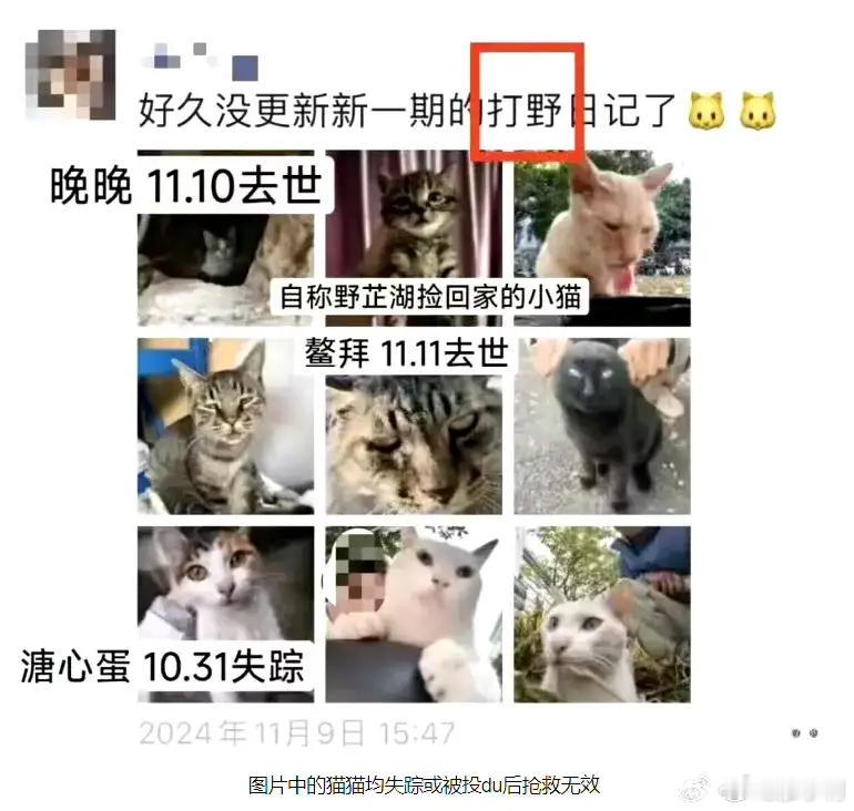 虐猫犯上岸事业编如果这个考生跟那个虐难犯真是同一个人，估计政审这一关是通不过的。