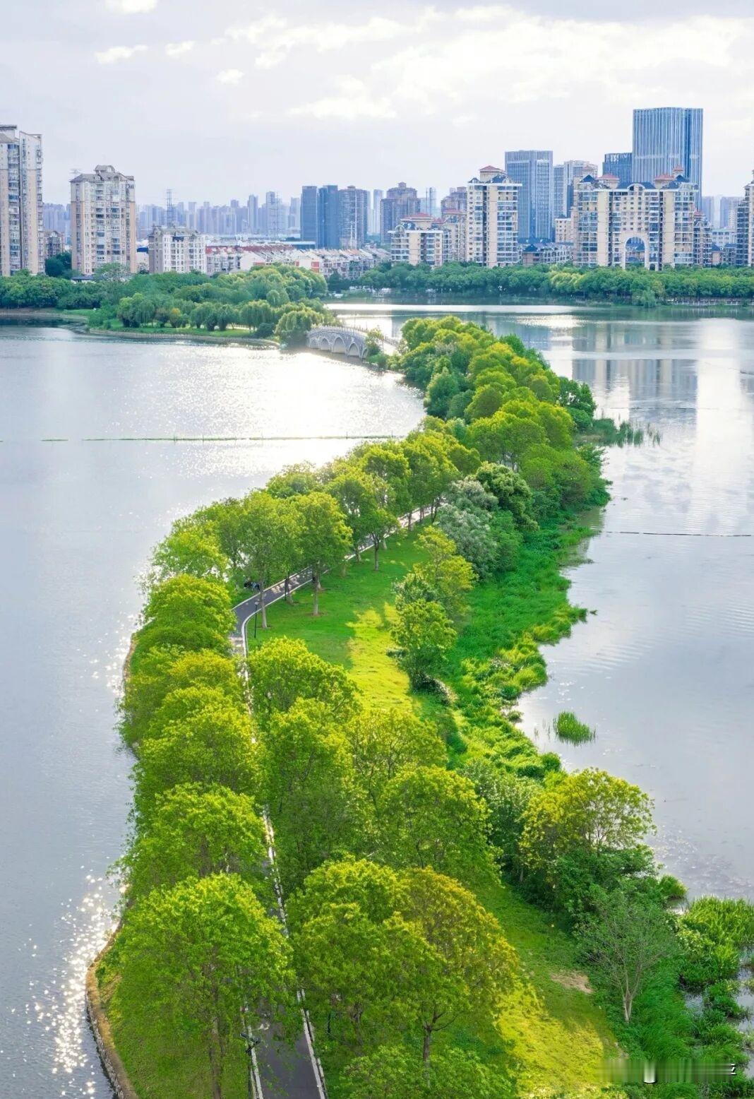 武汉金银湖绿道：全程湖景、一路有花海相伴。
武汉金银湖绿道简直是宝藏之地！全长4