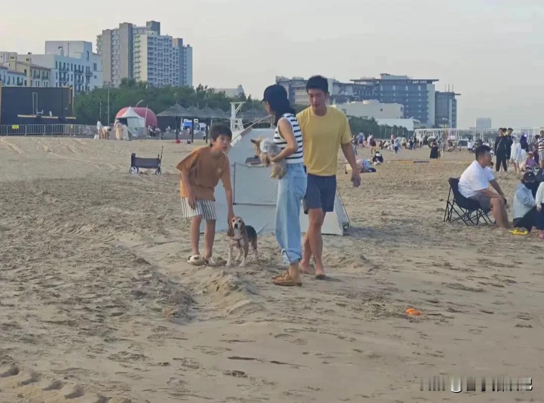 霍思燕杜江也太有爱了吧 
他们俩捡到的实验犬“珍珠”
把大众感动到了
从他们一家