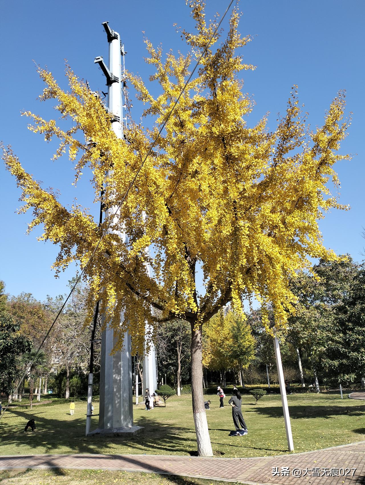 今年回老家过年，看到不少来本村和本村出去串亲戚的，明显感觉不一样了。一、消费更务