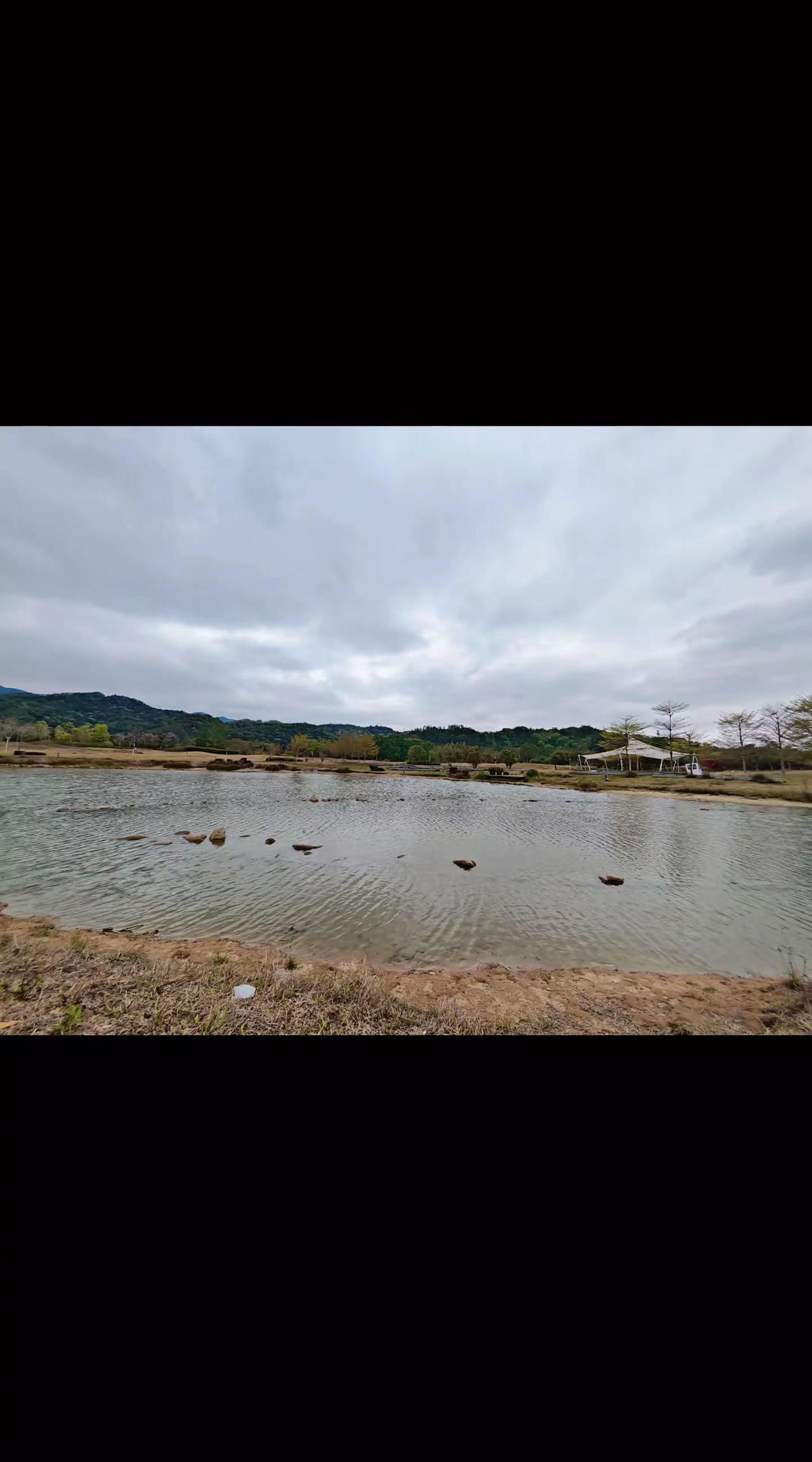 自然治愈地
