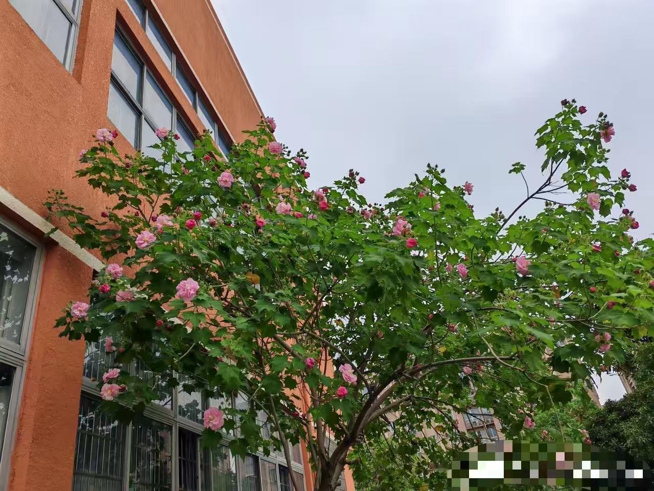 老师三天两头找你说一些芝麻绿豆无关紧要，且明明可以在校跟孩子说一下的纪律问题的时