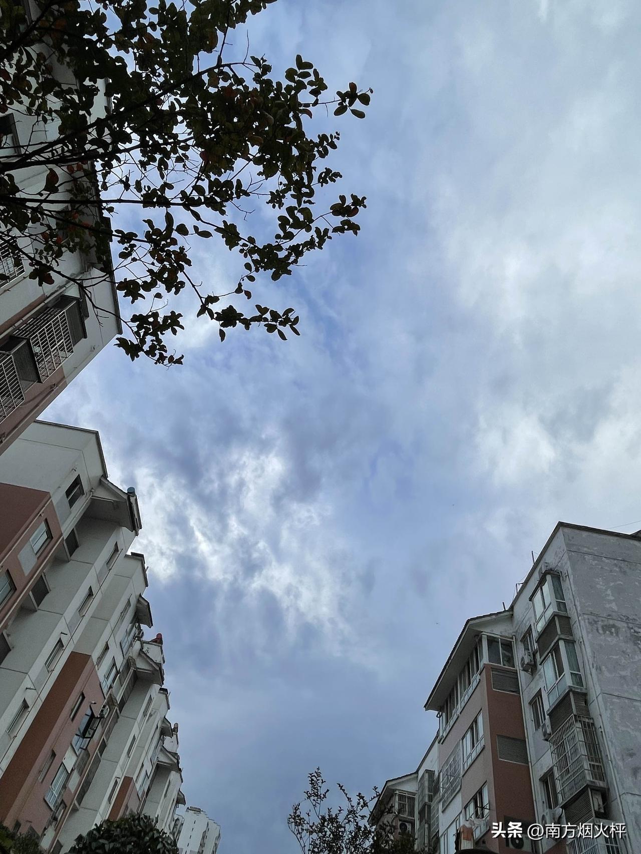 阴天的早晨就是这个样子的，看着又像早晨，又像黄昏。