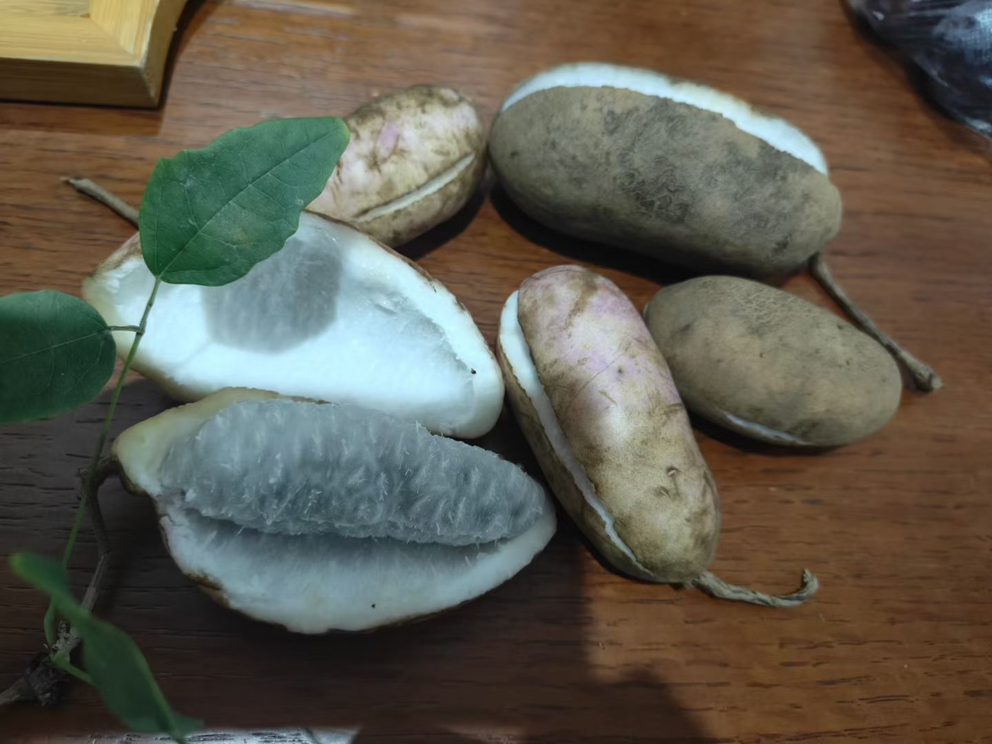 吃不来好东西…就像烂红薯🍠🍠 ​​​