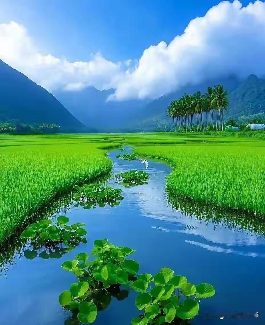 人生如白驹过隙，转眼间我们匆匆走过岁月的长河。有人说，健康是一切的基石，没有它，