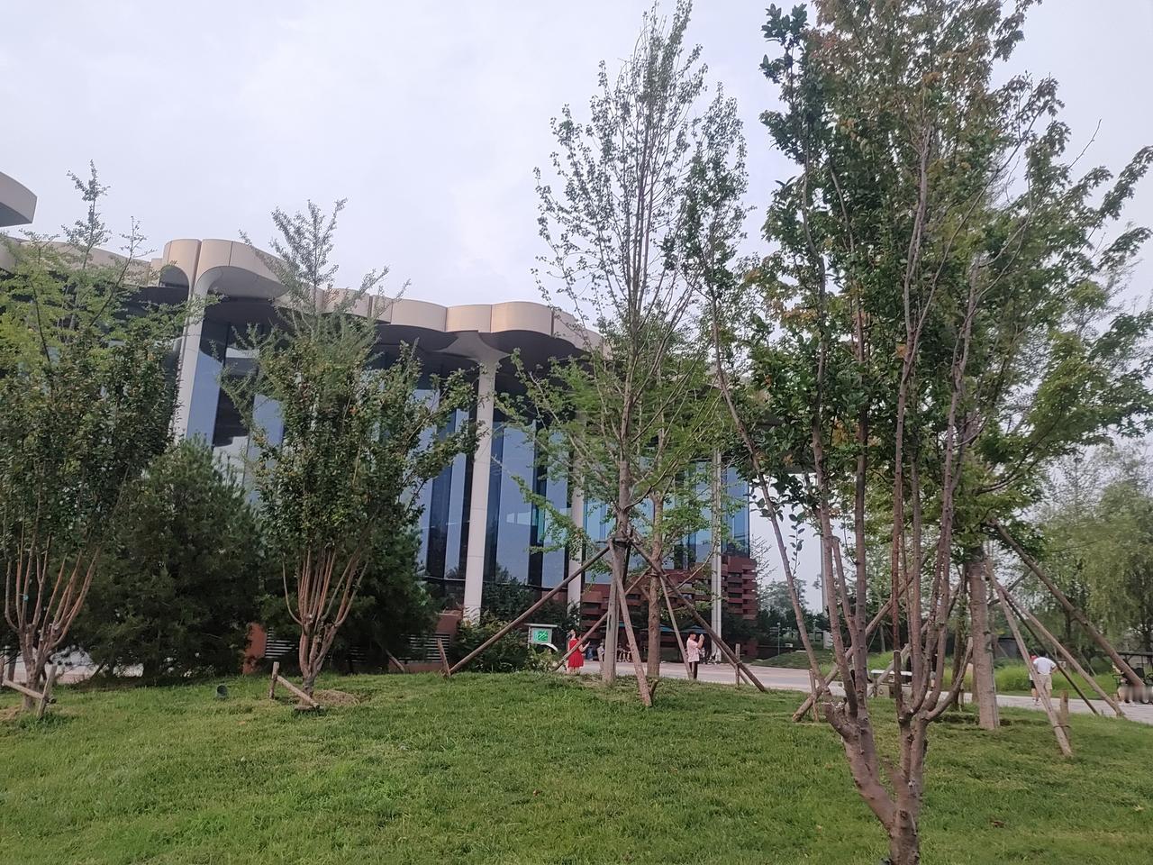 随手记录一隅光景，假以时日枝繁叶茂，想来便是满眼惬意。