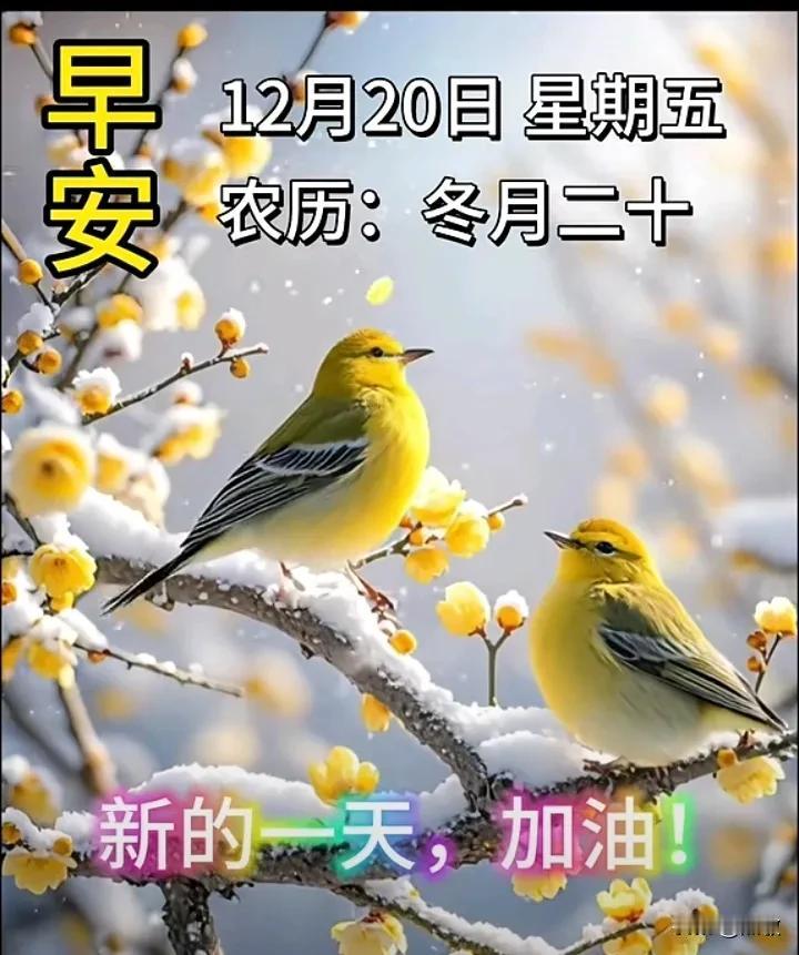 今天是12月20星期五，可以努力改变的事不要等；努力也改变不了的事不要慌。人生旅