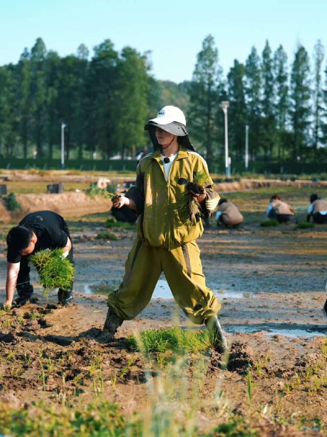 卓沅说劳动最光荣 卓沅劳动最光荣plog 劳动最光荣❗️ ​​​