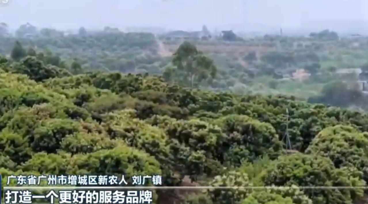 群山叠翠间，红色农机穿梭于层层梯田，翻耕出希望的沃土；金黄麦浪随风起伏，收割机轰