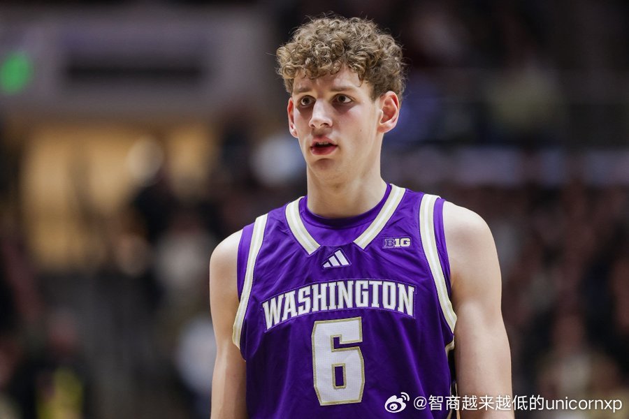 Big10锦标赛Hannes Steinbach对阵威斯康辛砍下25分16板2助