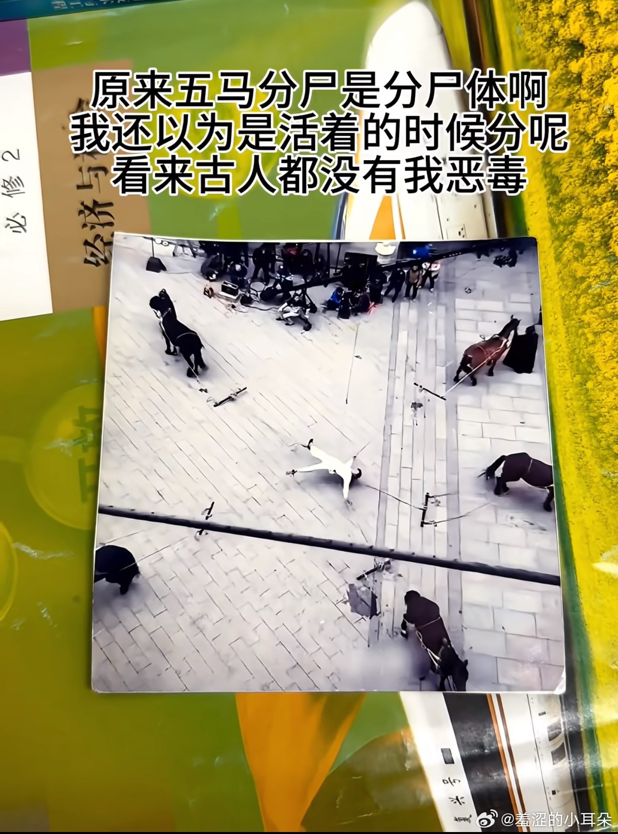 我不会是最后一个知道的吧 