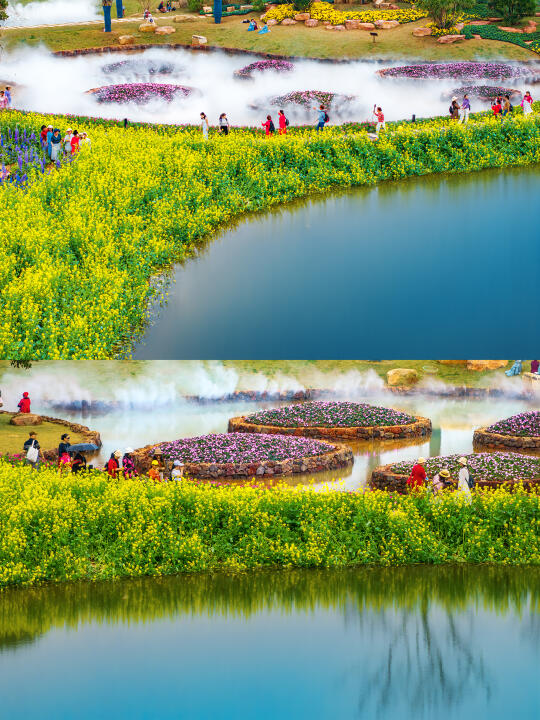 交换春天 ｜来南宁走进油菜花的春和景明里