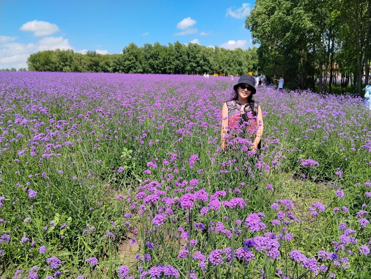 相册里的花花草草