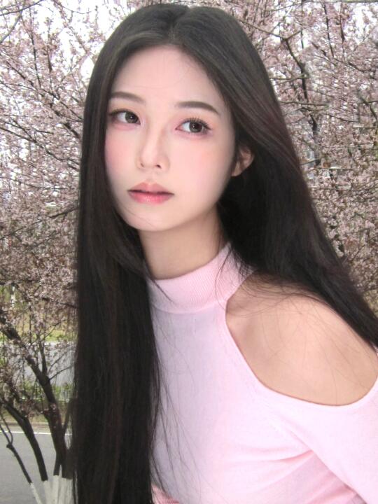 春日配色🌷
