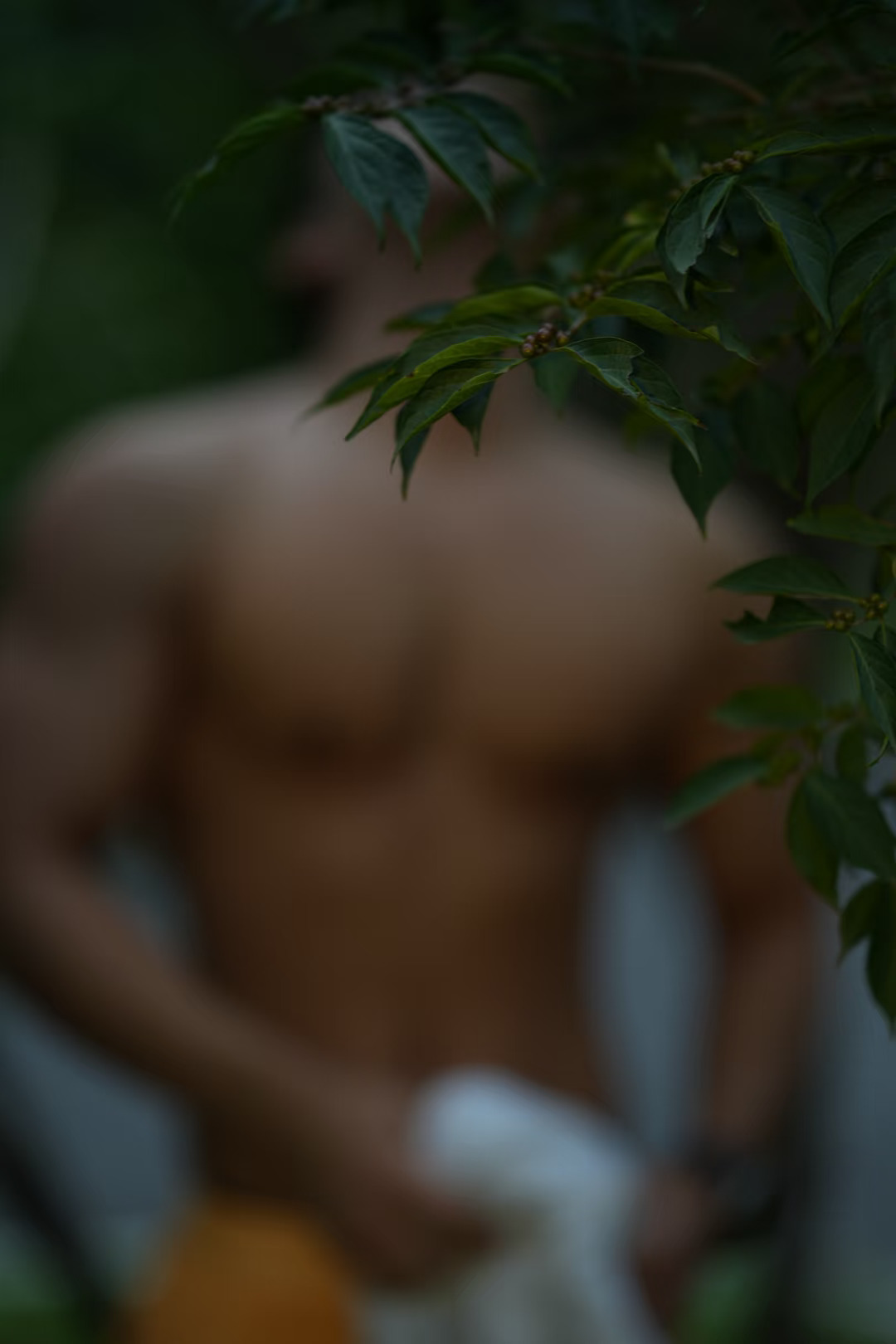 脸盲  记忆力也不好了