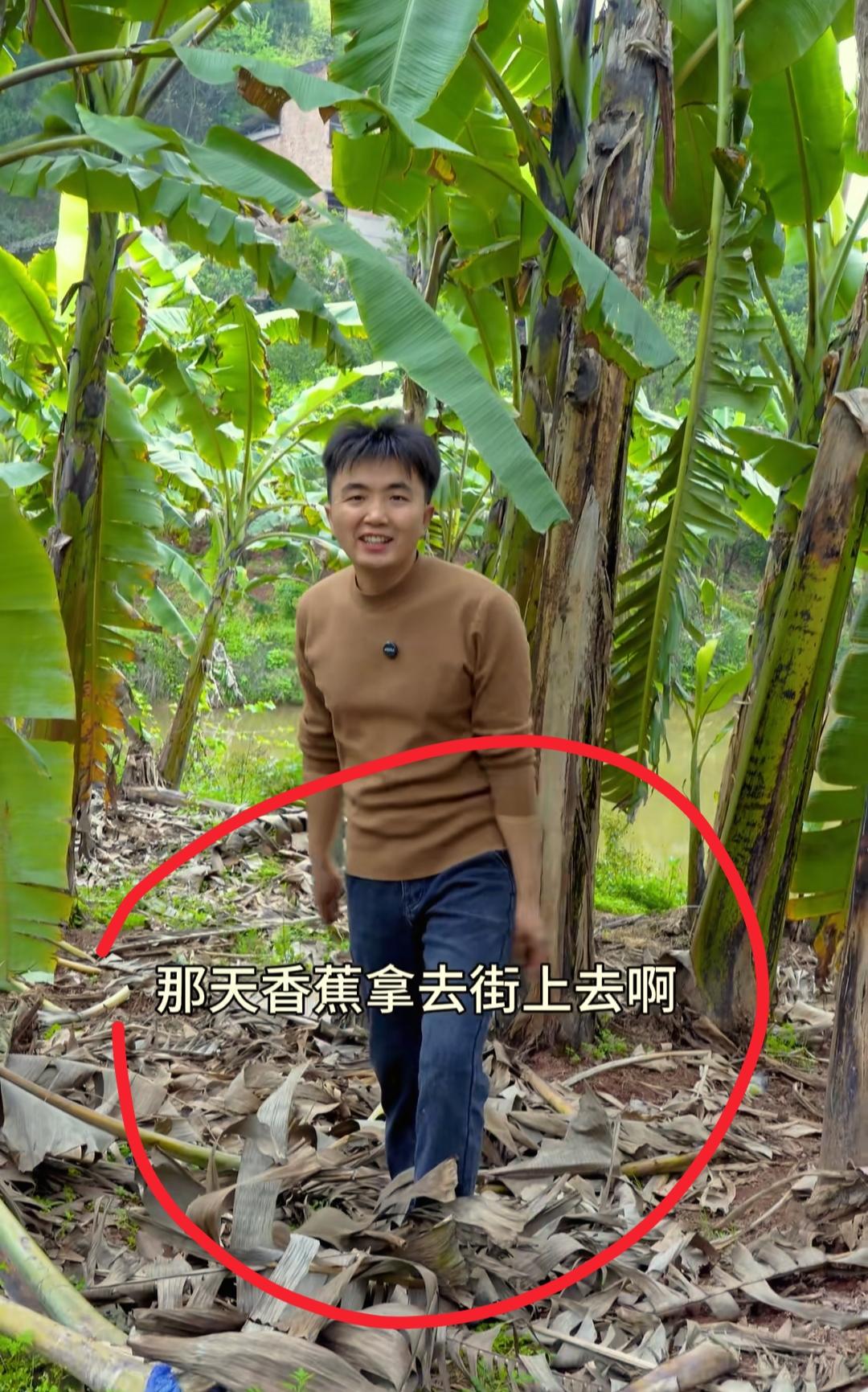 我开始有点理解买香蕉的阿姨了
徐三娃这么会做生意的小伙子，谁会不喜欢啊？
不仅是