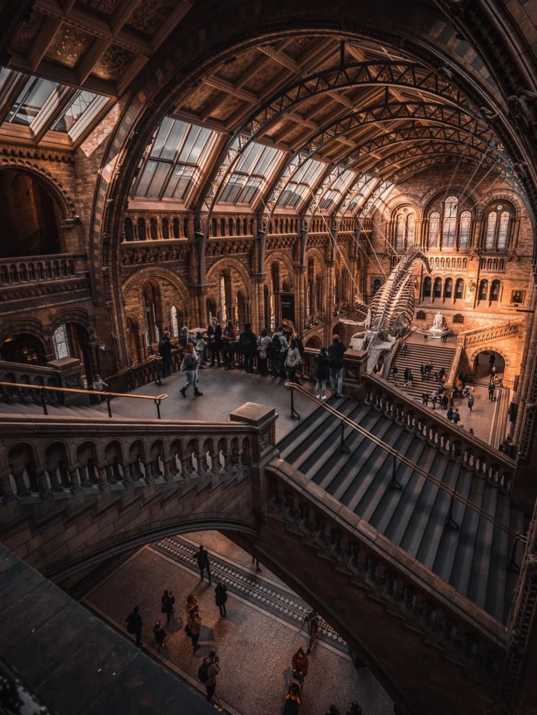 伦敦必逛博物馆🏛来和达尔文探索进化论吧！
