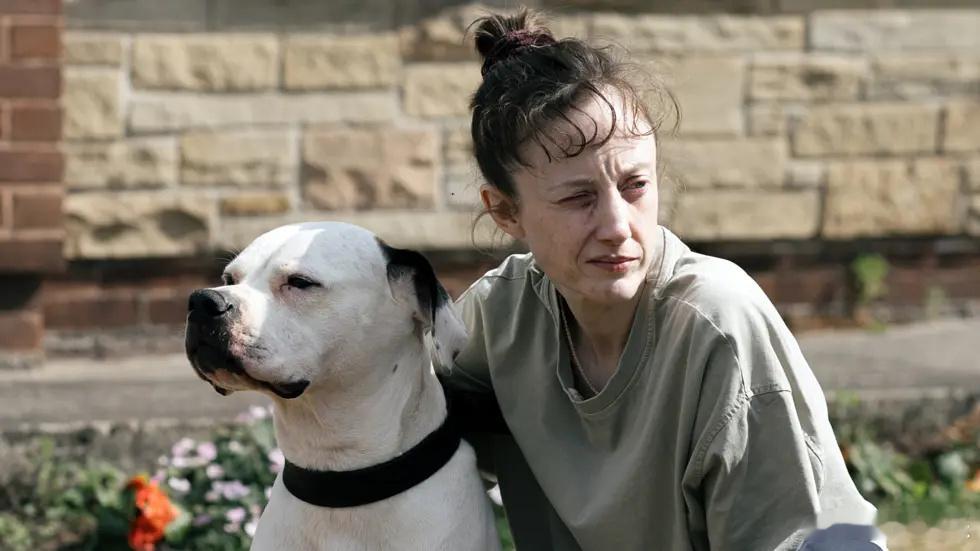 第十六届北京国际电影节天坛奖获奖名单 ：最佳音乐：《配角》斯坦·谢里波夫最佳摄影