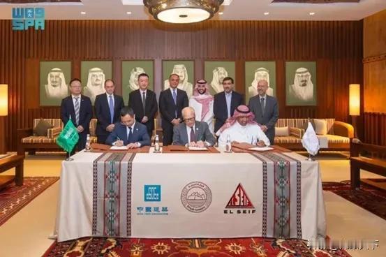 沙特公共投资基金（PIF）旗下的迪里耶公司（Diriyah Company）20