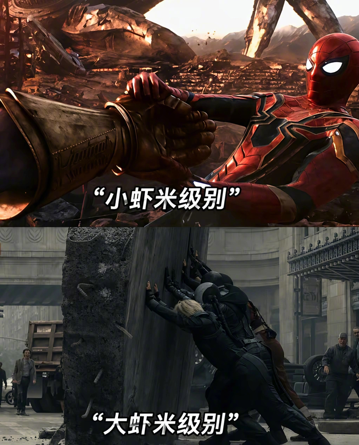 小虾米VS大虾米！ 