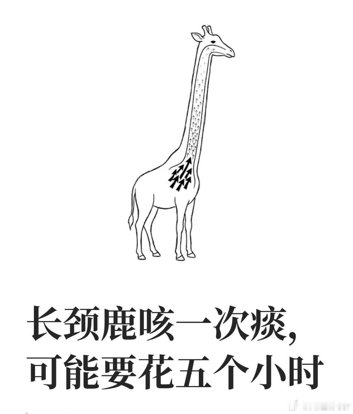 周日坏，当你觉得生活没那么如意的时候可以想象一下：长颈鹿吐痰需要五个小时 