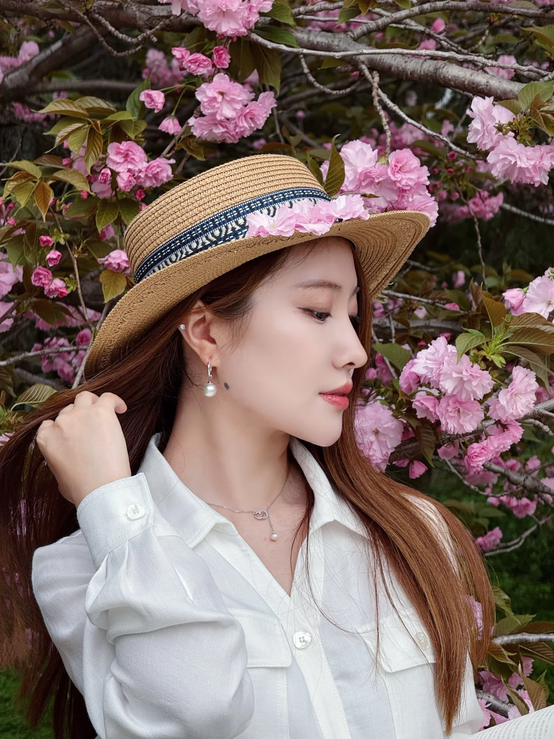 又到了花开的季节🌸