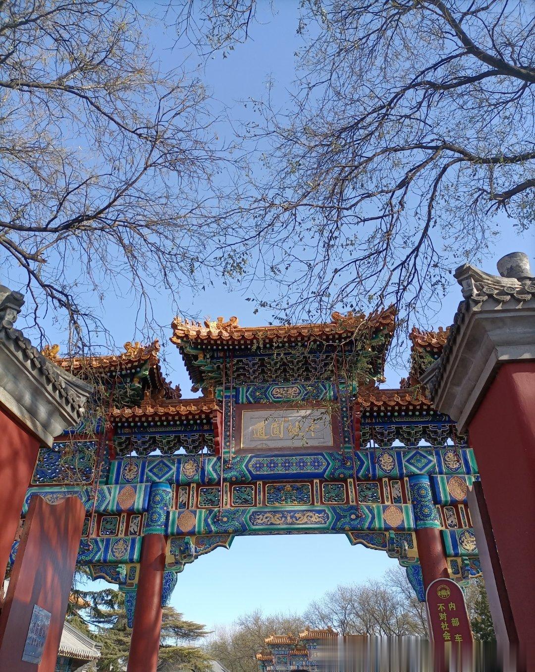 什么是天选以德，人授以术？【天选以德，人授以术】中医老大夫说：众生遇到的疾病，哪