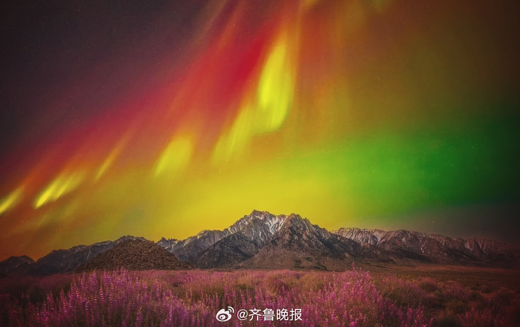 愿每个人都能遵循自己的时钟，做不后悔的选择。#晚安#