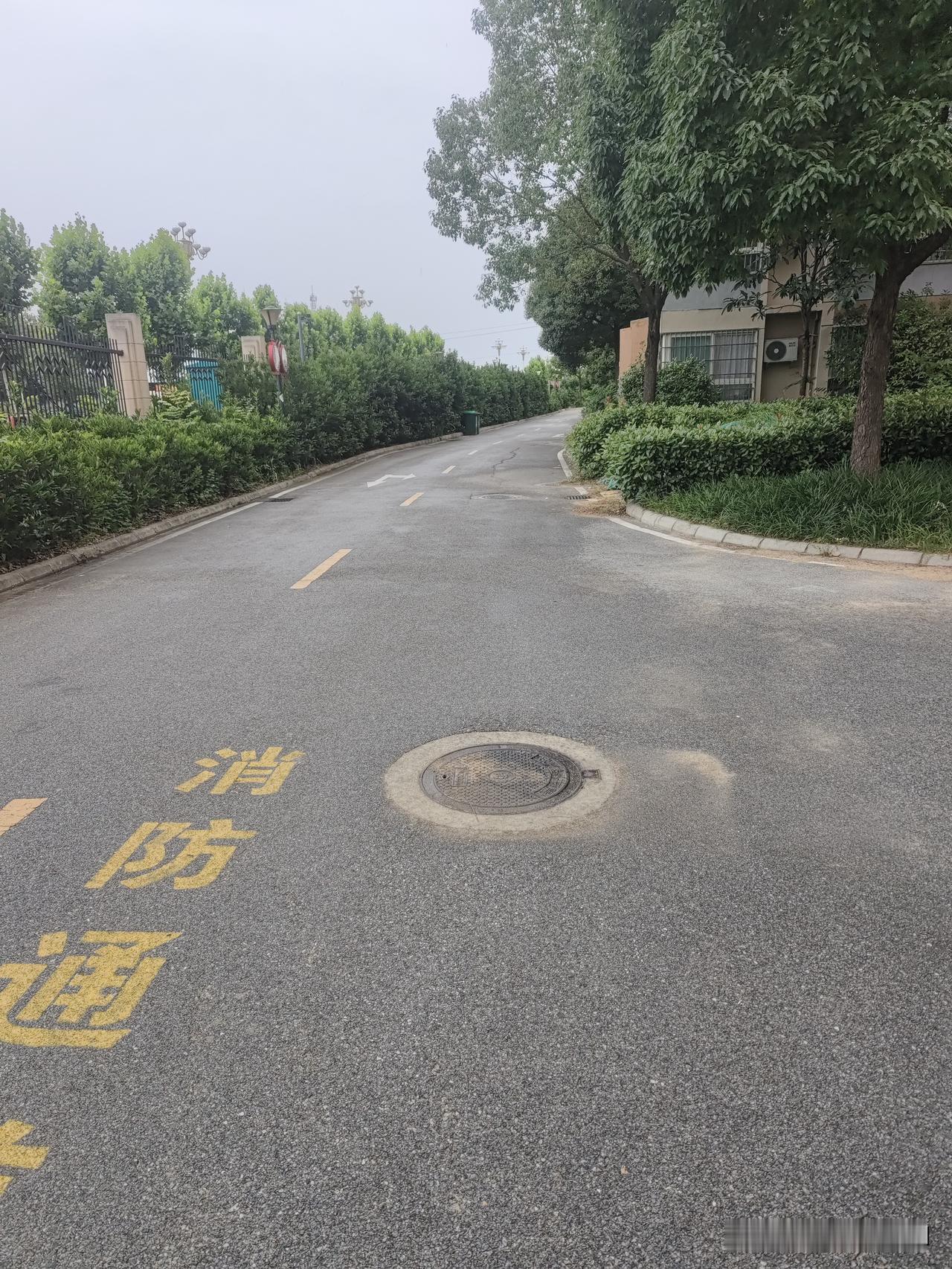 记录我的2026中午回家，看着天空阴沉沉的，让我瞬间烦躁得很。