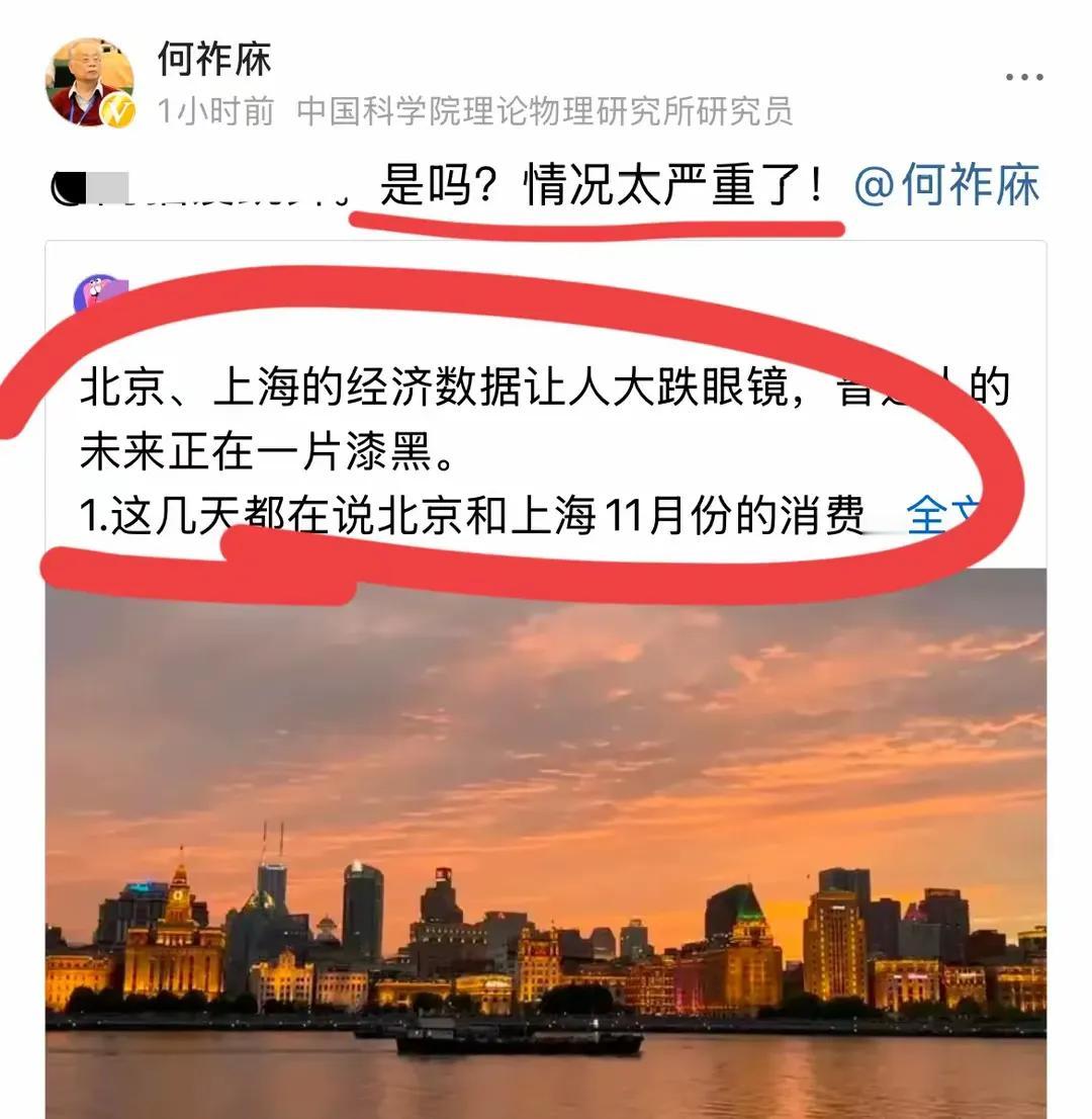 何祚庥院士对于目前的经济形势，可谓是忧心忡忡啊！！有网友说北京上海的经济数据让人