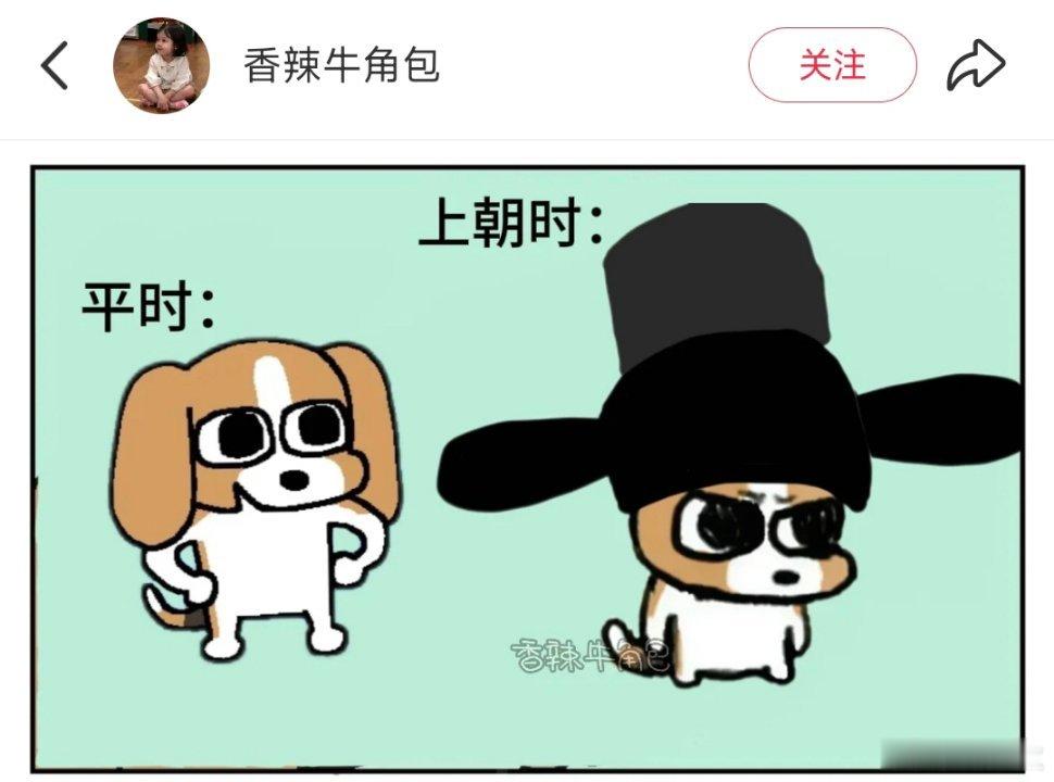 藏比的耳朵收纳法，扎成兔子耳朵🐰官帽里还藏着胡萝卜发圈，哈哈哈哈太可爱鸟！ ?
