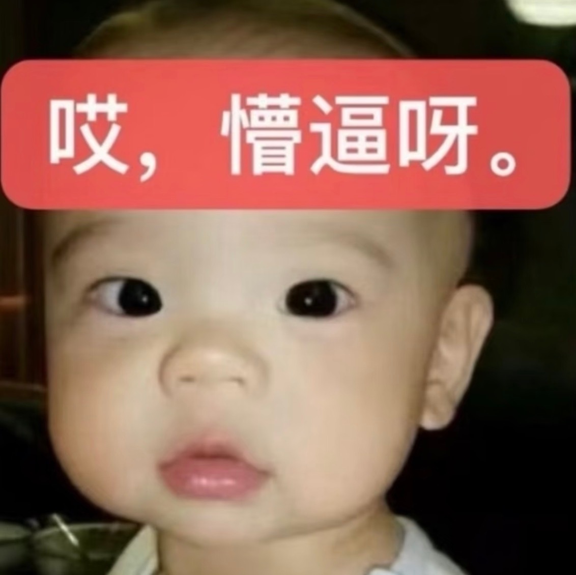 我不知道Kpop粉们是怎么了，一到周六就开始集体飒飒飒！！！ 