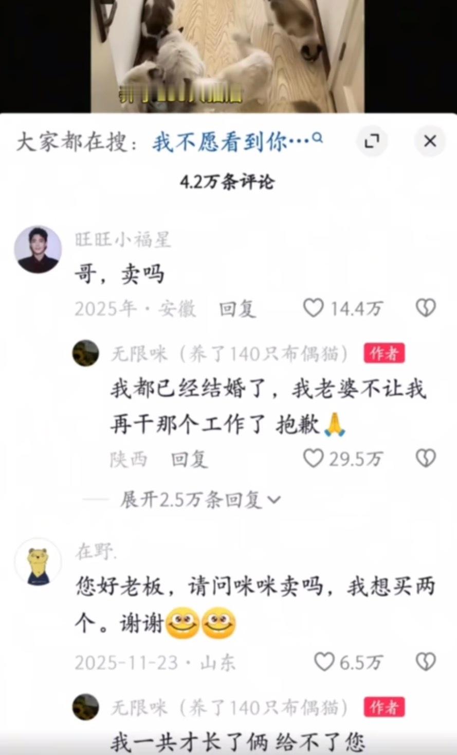 哥不是这个意思啊 