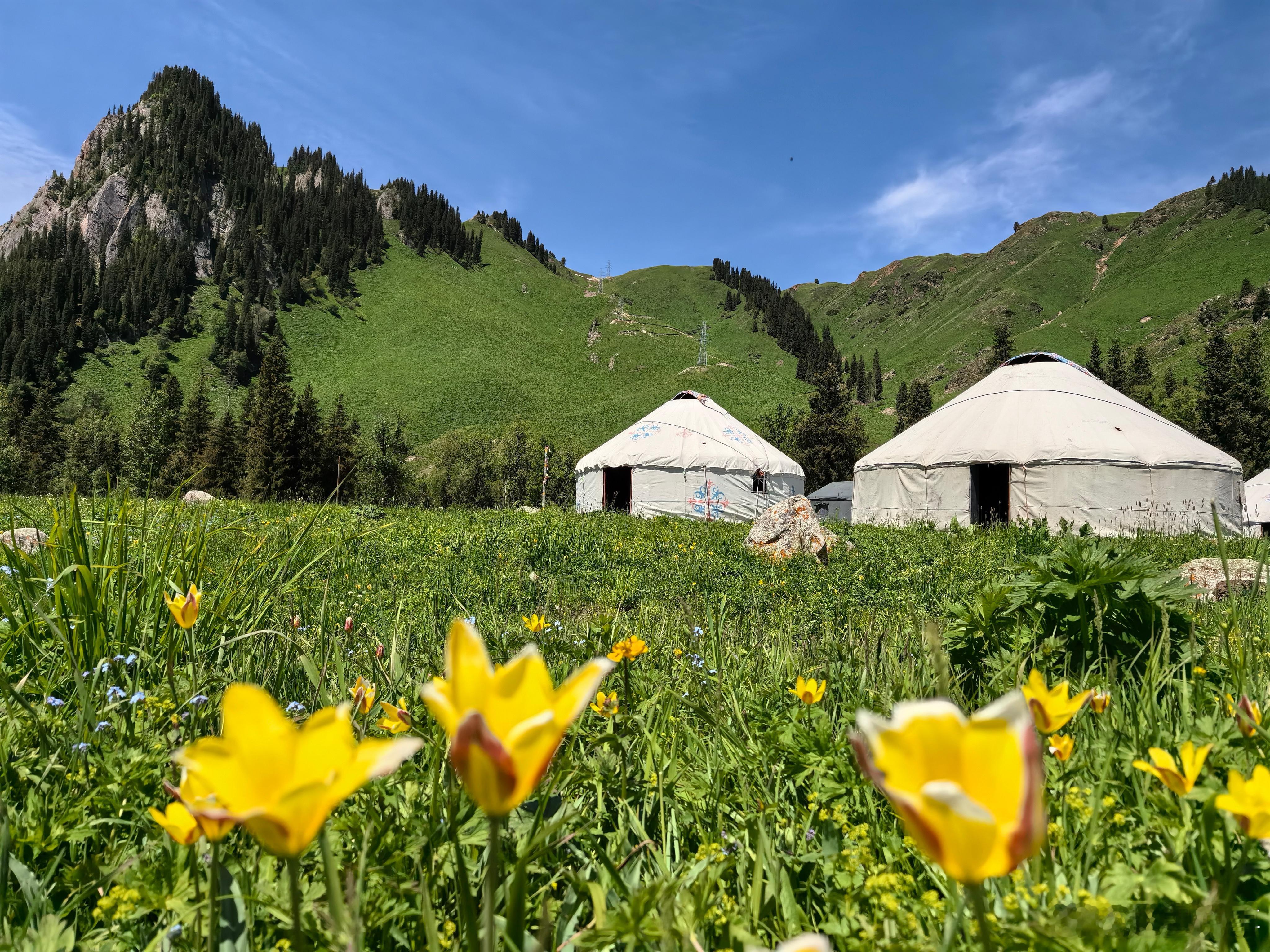 春天就要鲜活向上的生命力 季节轮换，春风拂面，和春天一同到来的，还有满心的心动。