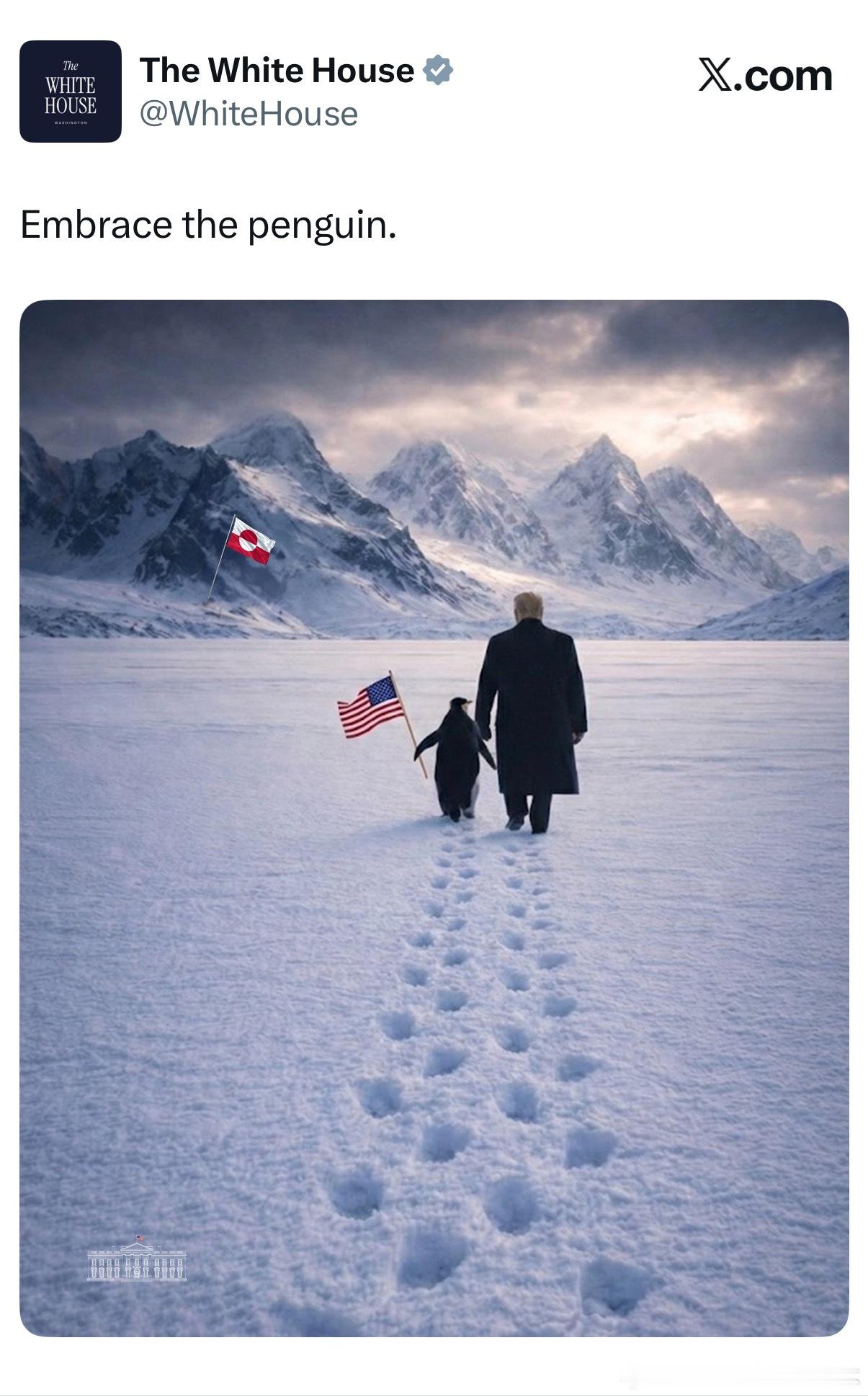 【黄金时代】白宫发布照片，川普在格陵兰与企鹅一起在雪地上行走“拥抱企鹅”，企鹅还