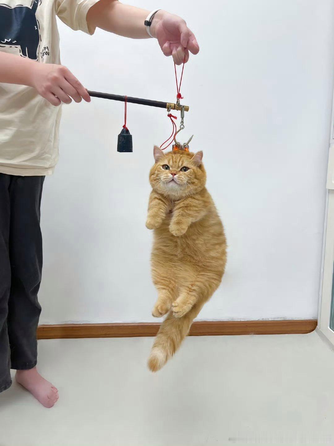 黄子韬工作室道歉昨天我就说他花式作妖，今天就被骂上热搜，过两天等某局的意见吧，就