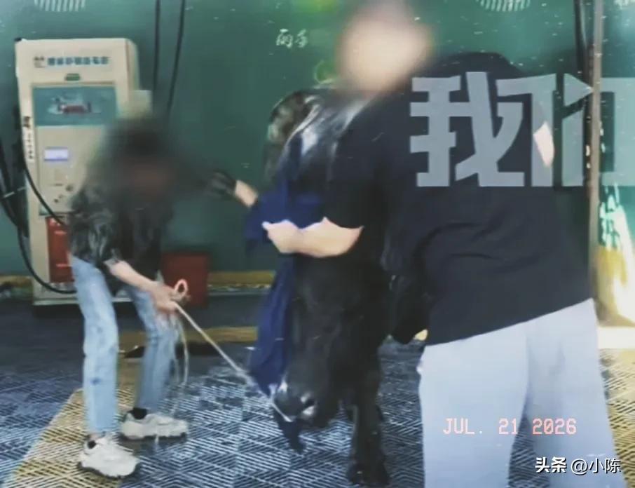 无知者无畏！四川，男子开了一家自助洗车店，最近 他接连收到用户投诉，说洗车店的毛