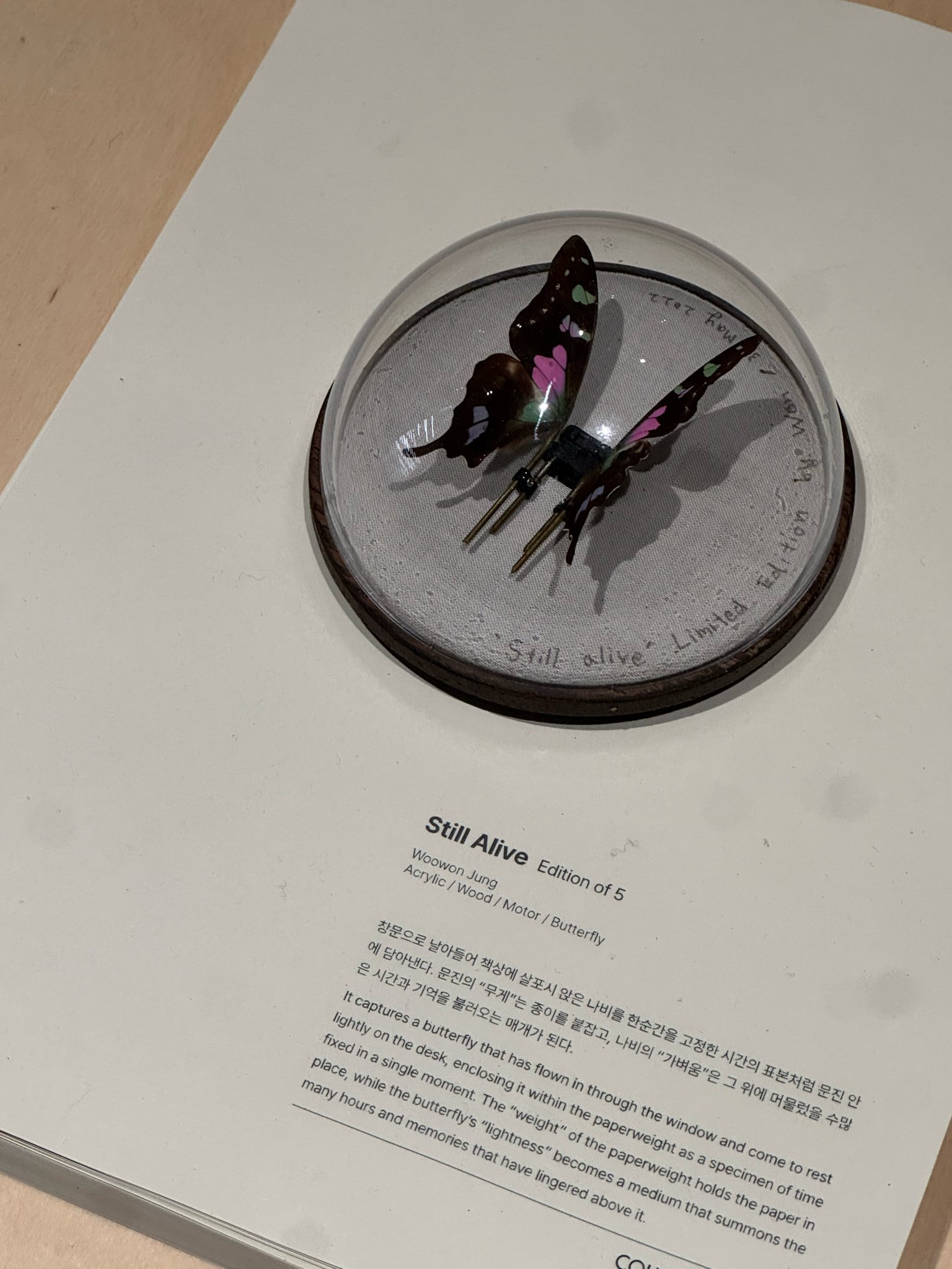 260402💌triples朴昭玹