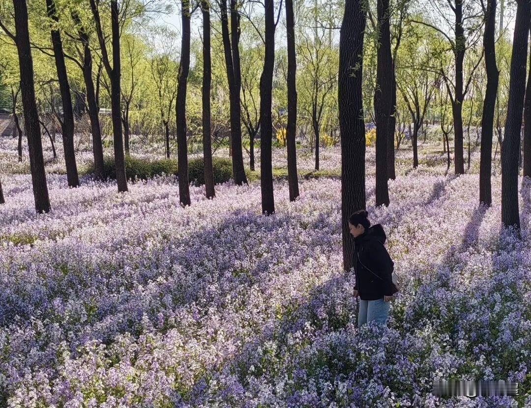 这张照片有三个很明显的缺点，你能看得出来吗？
欢迎把答案写在评论区里，让喜欢拍照