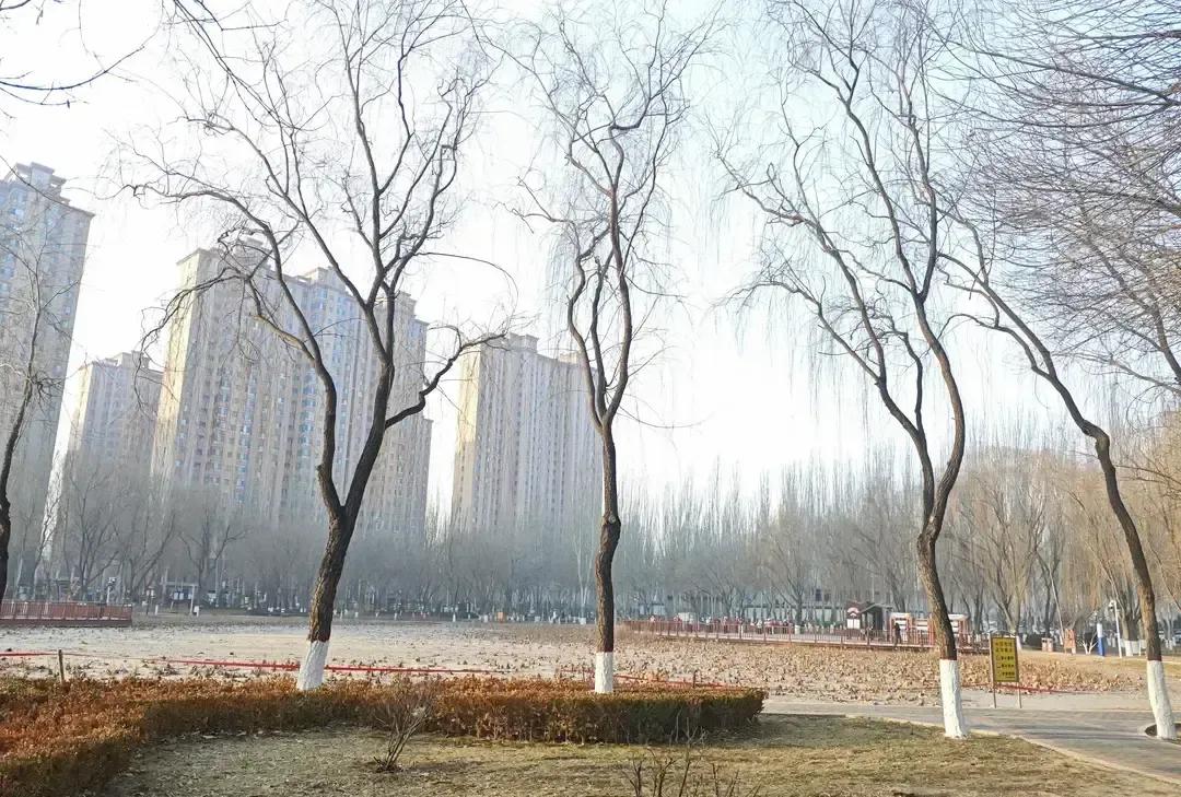 二嫂直播里跟婆婆吵到高潮，突然掏出一瓶褐色液体仰头就灌，镜头切到嘴唇发白、浑身抽